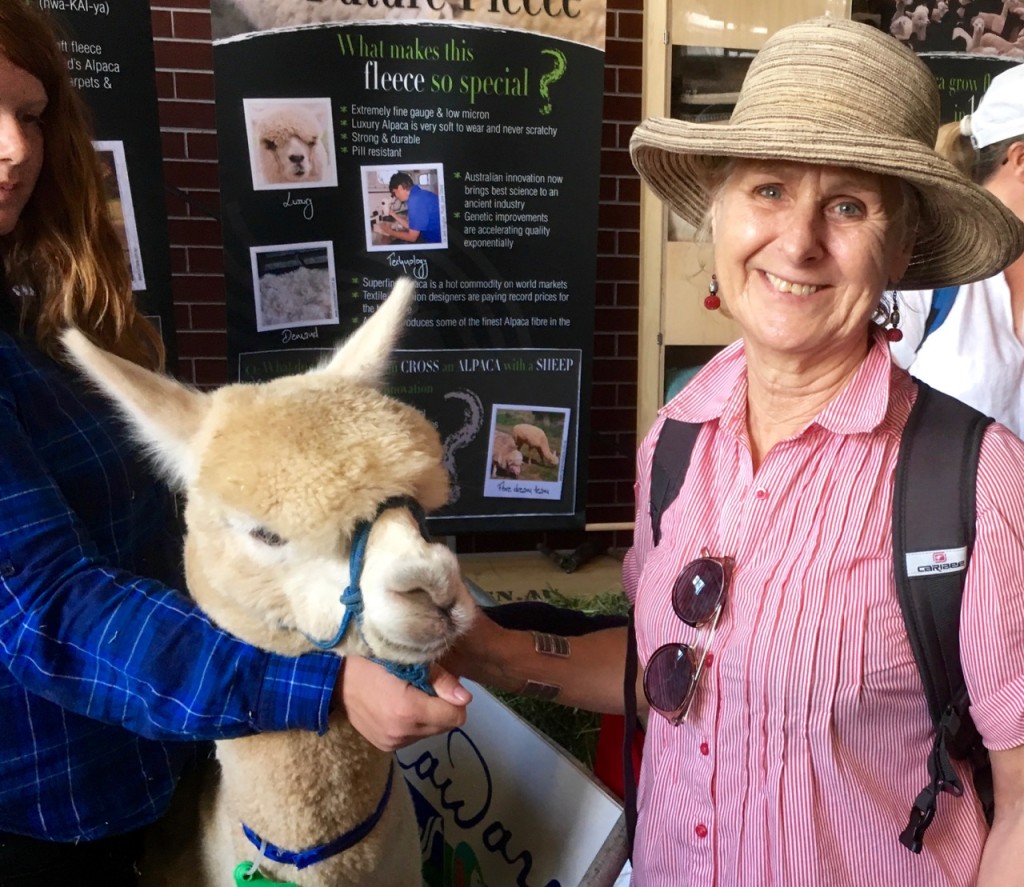 Jan (right) with alpaca.