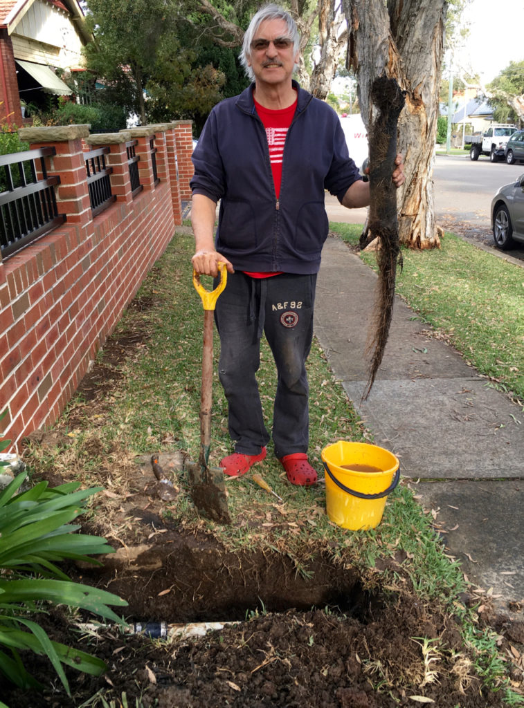 Getting to the root of the problem.